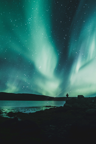 Evolve your Soul ~ Journey with The Healing Mother Earth for clarity, perspective, and a deeper understanding of your life purpose. Join psychic healing medium Tanya for Divine Feminine guidance, plant spirit medicine, soul journeys and moon magic.