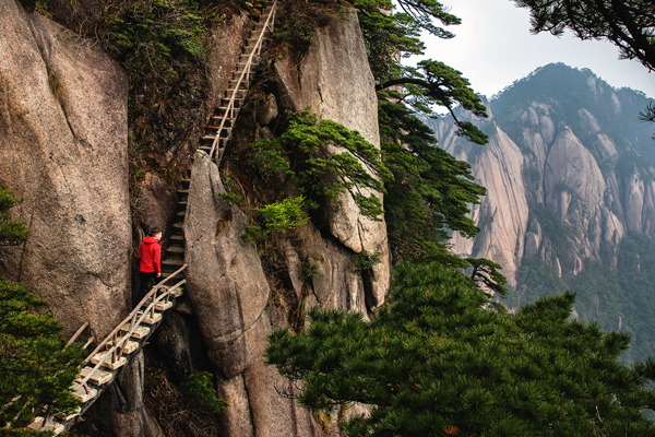 Create space for a new, heart-centered way of being on Earth with Tanya Morgan, Soul Coach and Shamanic Healing Medium. The Healing Mother Earth offerings include Soul Coaching; heartSPACE Personal Transformation and Development; Inner Child Healing or Soul Retrieval; Mindfulness Meditation; Guided Inner Visualization Journeys or Shamanic Journeying including Healing with the Five Elements, Power Animal Retrieval, Connect to the Light of your Soul; Sacred Soul Space Community Group Sessions; and Co-creating with the Divine Mother or Sacred Feminine.