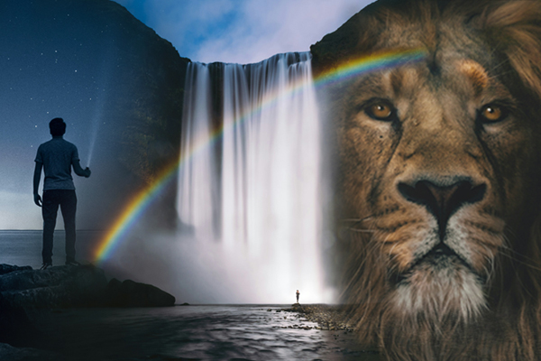 Evolve your Soul. Journey with Shamanic Healer and Psychic Medium Tanya Morgan for Distance or Remote Energy Healing, Soul Retrieval, and Guided Journeys. The Healing Mother Earth services also include Deathwalking, Heart Space, Discover Your Power Animal and Mentoring.