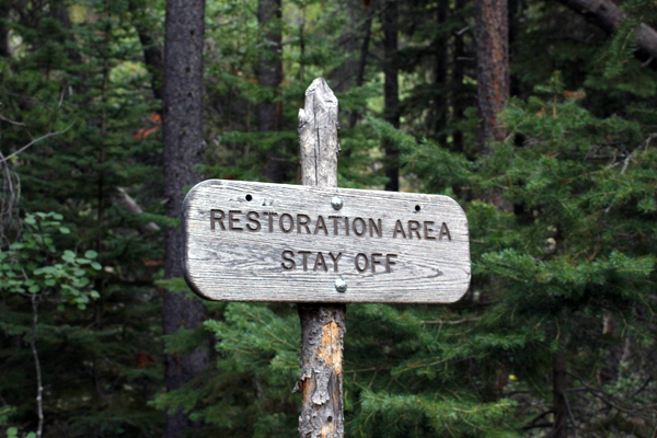 Discover true freedom with a soul retrieval, remote distance energy healing, power animal retrieval or guided journey with Shamanic Healer and Psychic Healing Medium, Tanya Morgan. This photo of a sign post in the forest is by Isaac Quick on Unsplash.